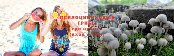 бошки Баксан