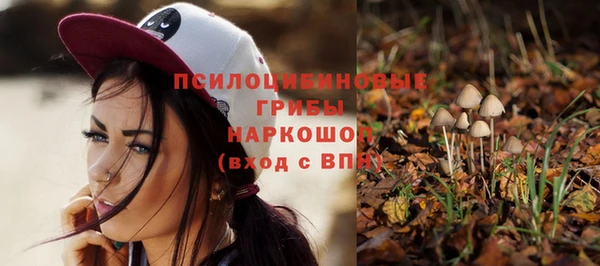 гидра Рославль