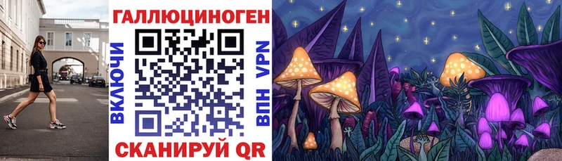 это клад  Урай  Псилоцибиновые грибы мицелий 
